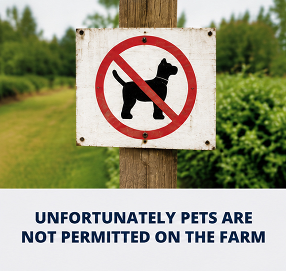 2026-farm-feature-no-pets