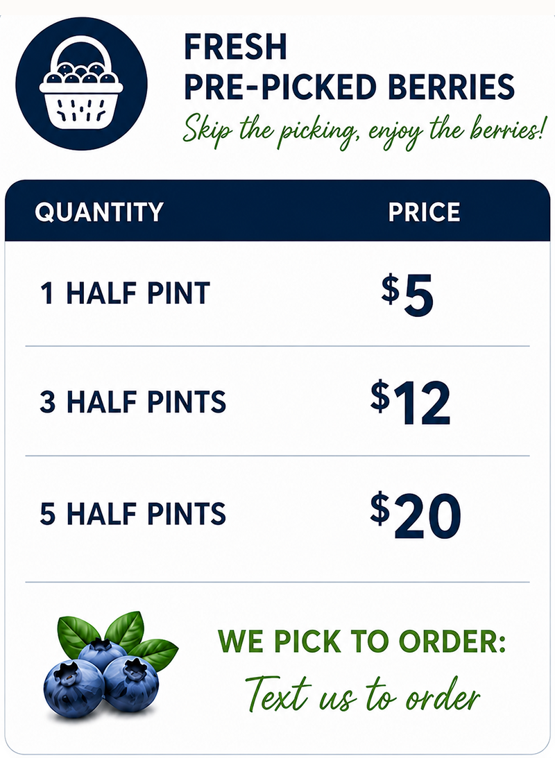2026-price-pre-picked-txt-to-order-revised-web